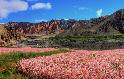 Mustang Tour - 05 Days